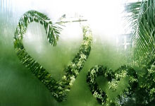 黑白直播在线观看-卡尔蒂斯备战细节曝光，冲击世俱杯全力以赴