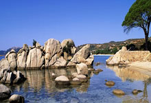 黑白直播在线观看-卡尔蒂斯防守体系升级，迎接关键战