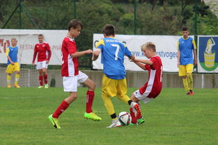 黑白直播在线观看-西悉尼流浪者新援适应良好，世俱杯表现备受期待