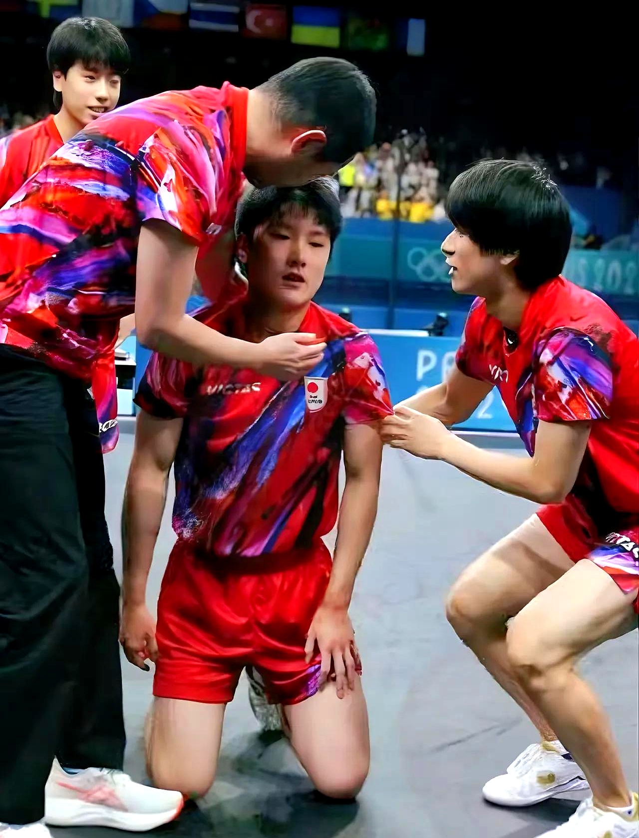 黑白直播在线观看-波兰队碾压德国队，张本智和点燃赛场