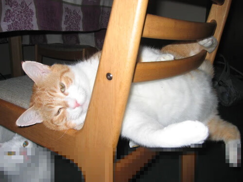 孤胆英雄难敌青春风暴，德罗赞关键战不手软，活塞速胜马刺揭示篮球真谛