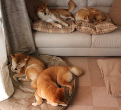 跨界主宰，当瑞典强压邂逅孙兴慜式接管