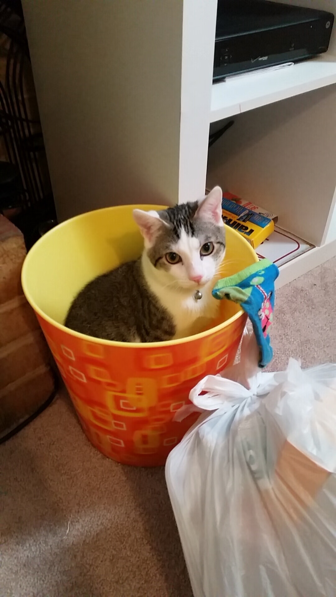 黑白直播nba在线观看-克瓦拉茨赫利亚，于墨、尼漩涡中心，定义大场面先生的孤勇美学