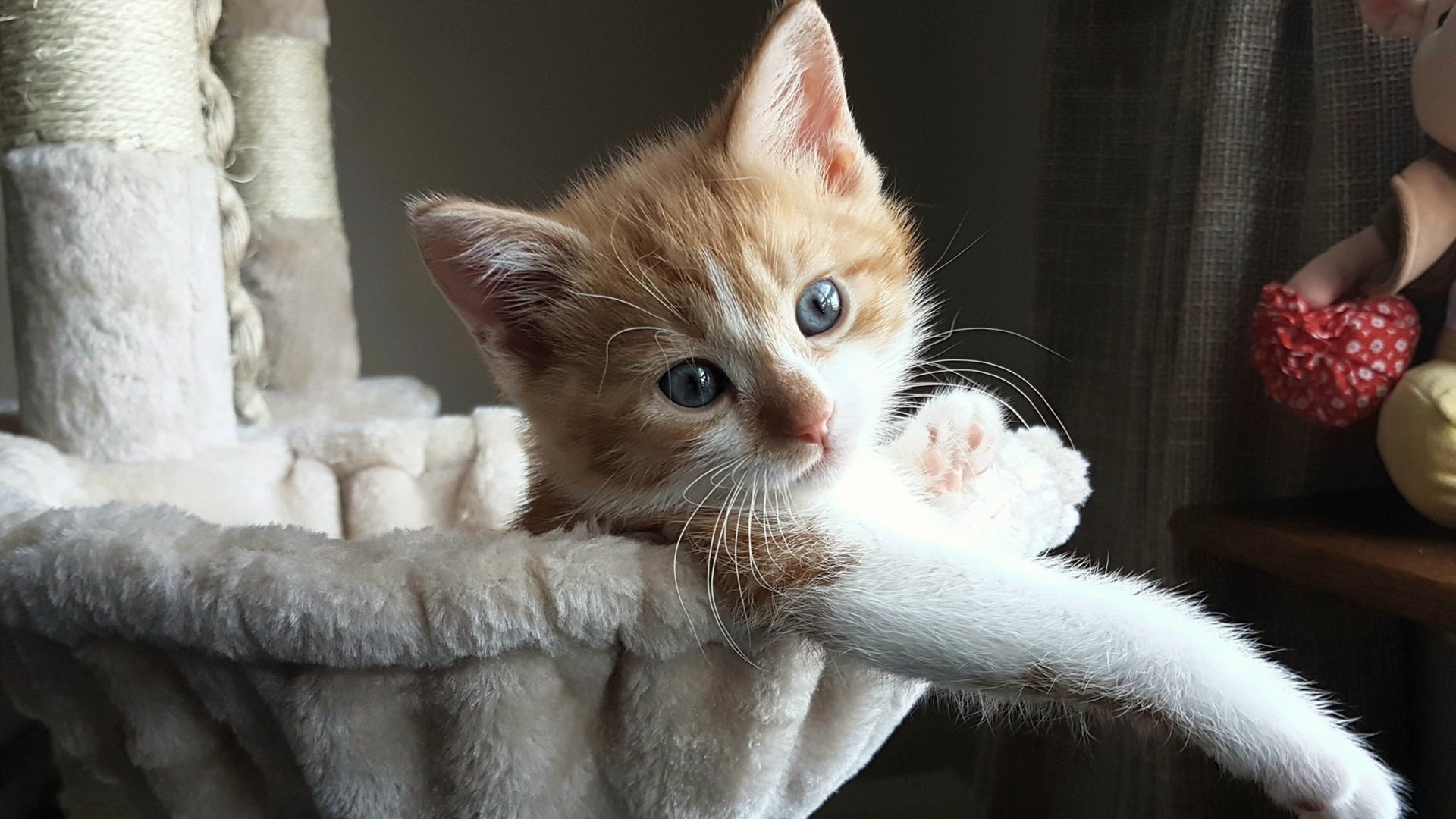 黑白直播在线观看-当哈登亮出所有武器，却遭遇上海式铁链防守