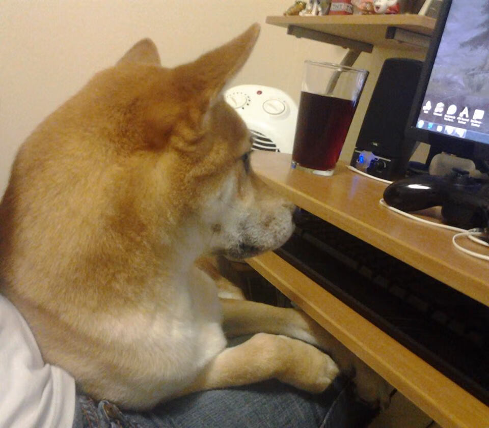 当数据统治赛场，精神同样能够逆天改命