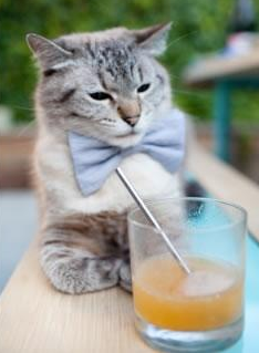 黑白直播nba在线观看-雷恩客场力克塞维利亚，卢卡库数据闪耀欧洲足坛