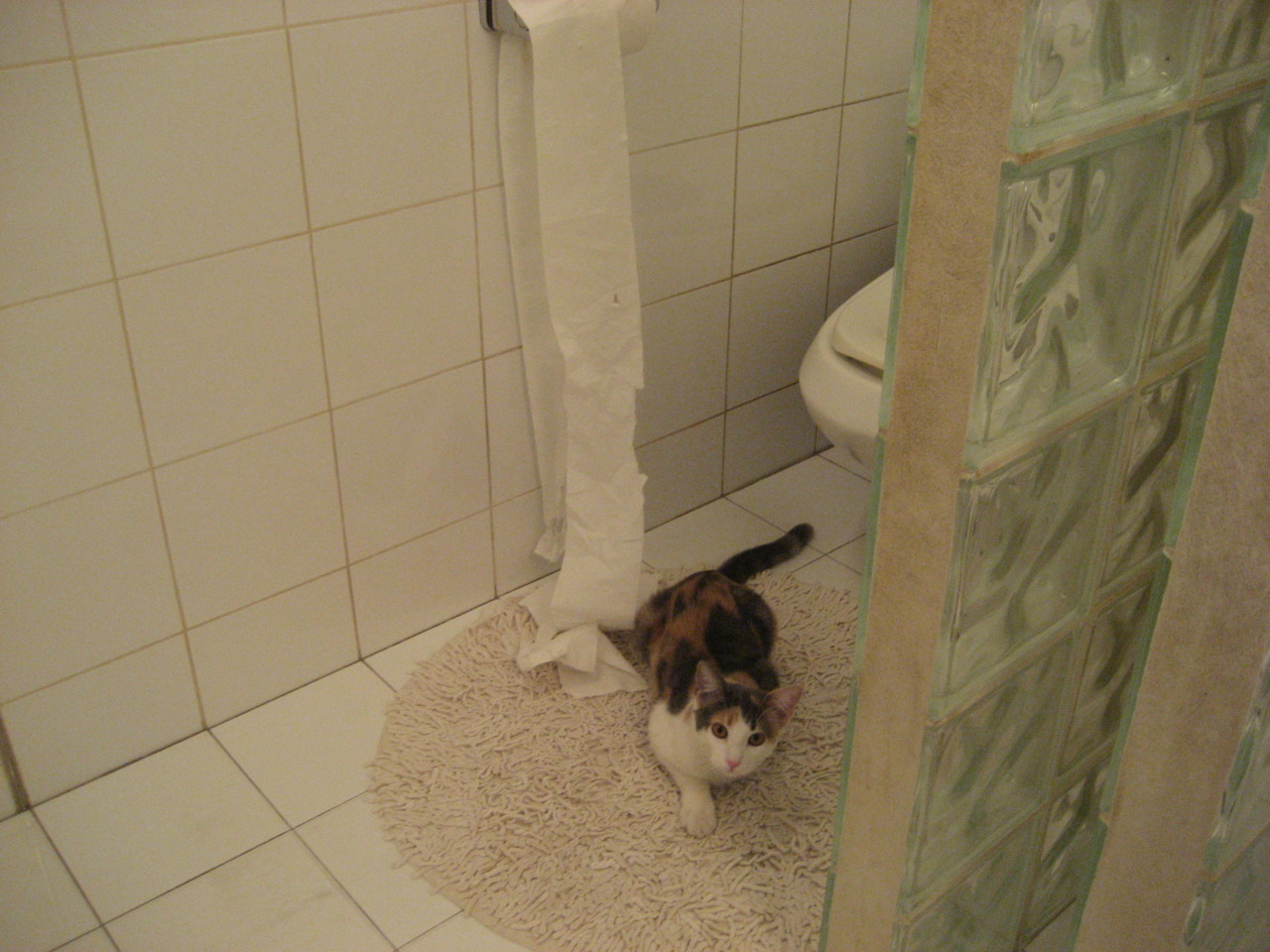 黑白直播在线观看nba-奥运周期焦点战，勇士血拼公牛，关键战役定乾坤