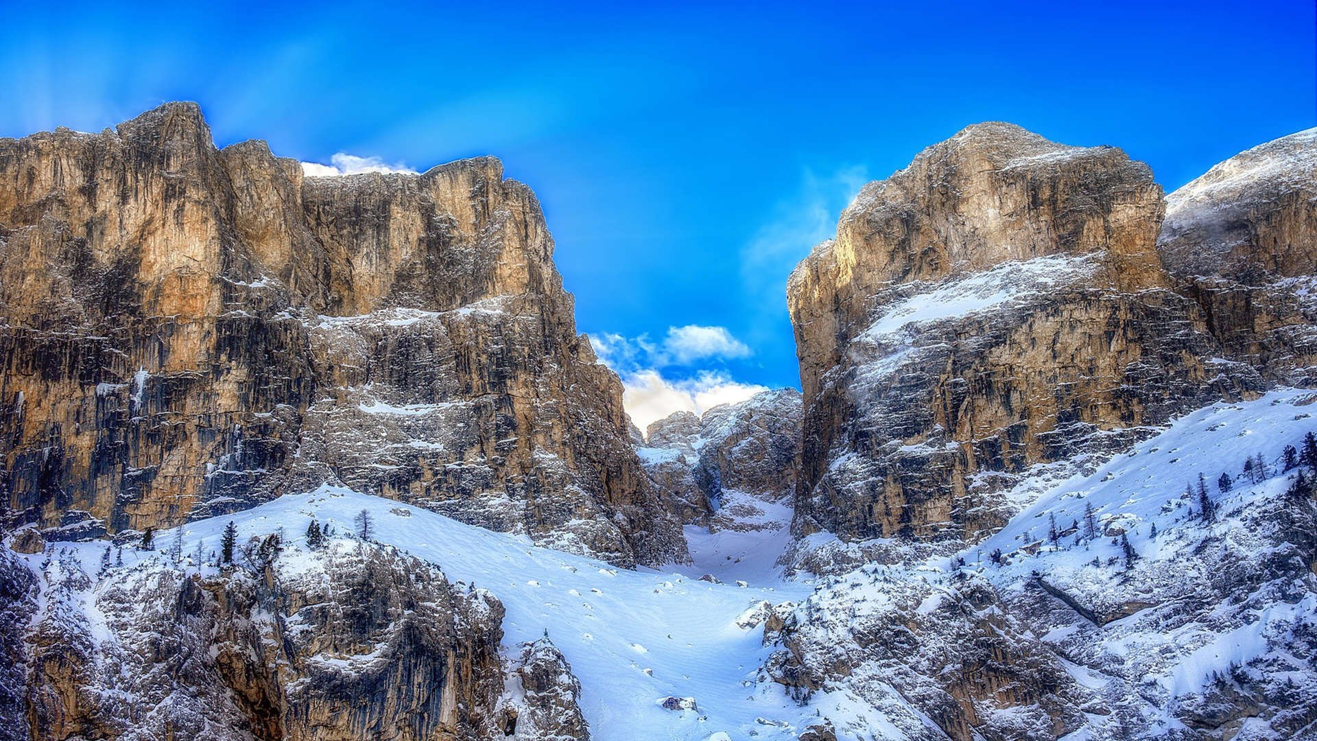 鹰掠鹿角,文班亚马关键先生崛起记