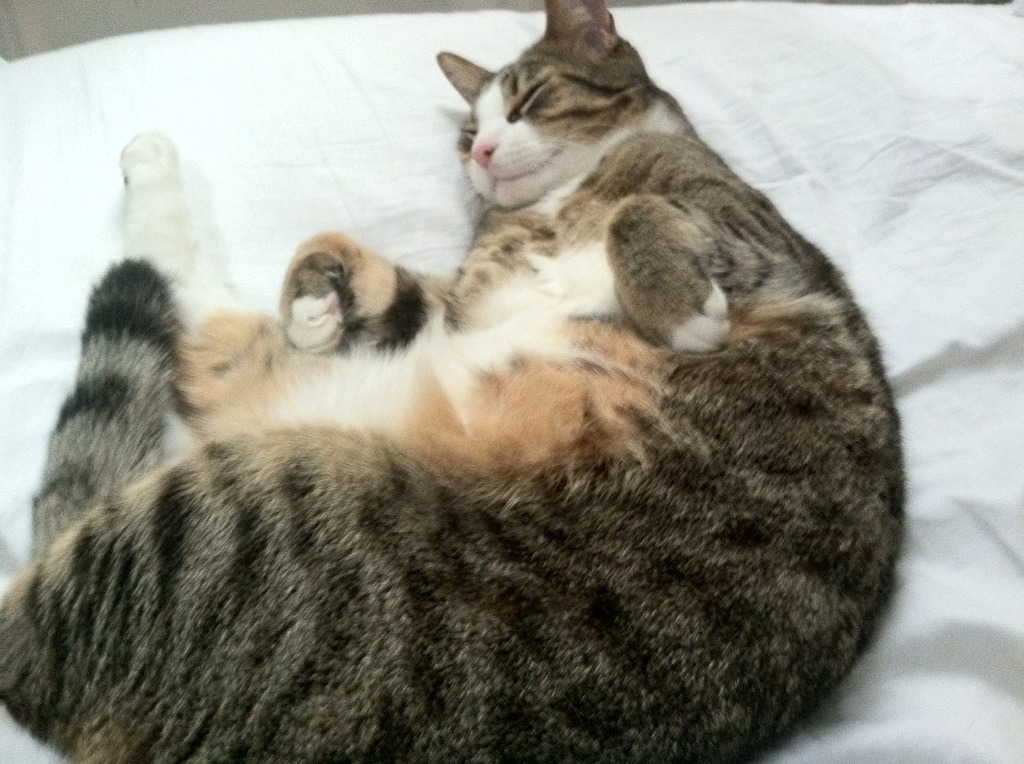 为尊严而战,厄瓜多尔与南非在抢七硝烟中写下的全球南方寓言