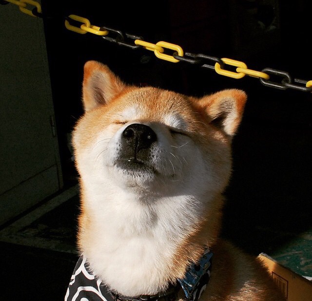 黑白直播nba在线观看-东决关键战之夜，贝恩用节奏魔法改写宿命