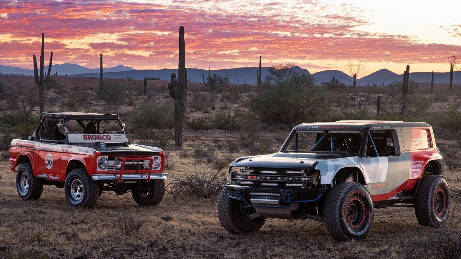 黑白直播网-篮网血拼火箭,字母哥欧冠封神,篮球之夜的冰与火之歌