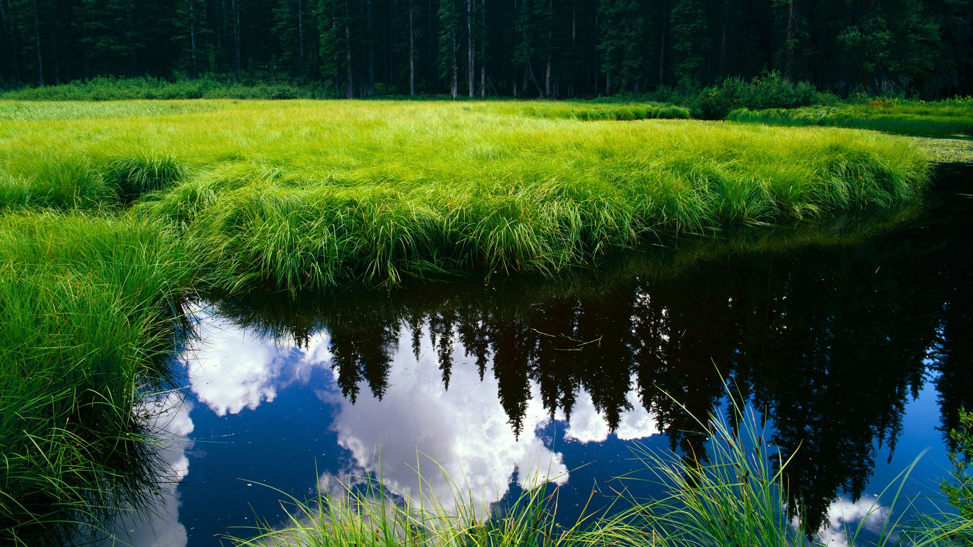 同夜双战场，热血共此燃