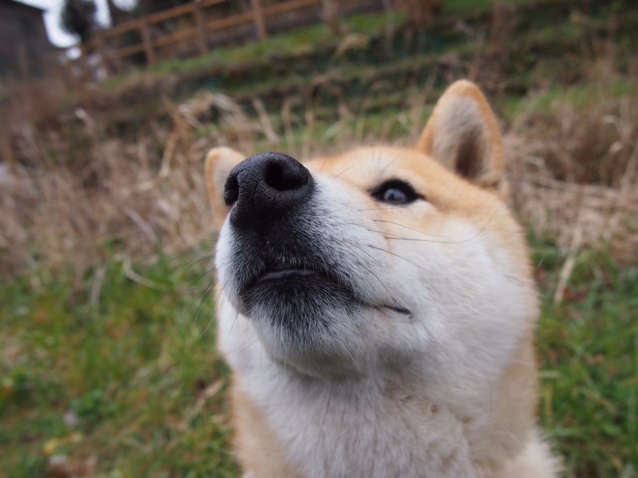 广厦内线巨兽数据恩比德式爆炸，全面压制北京首钢