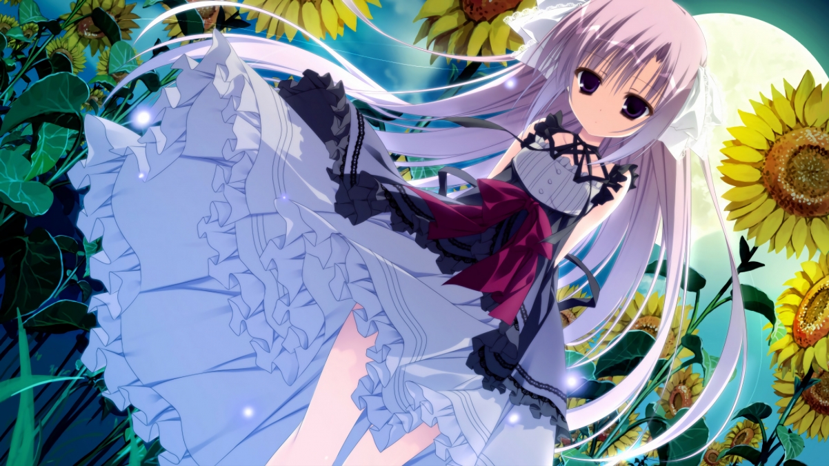 黑白直播nba-奥运周期关键战，热火生死战取胜猛龙，焦点对决铸就辉煌