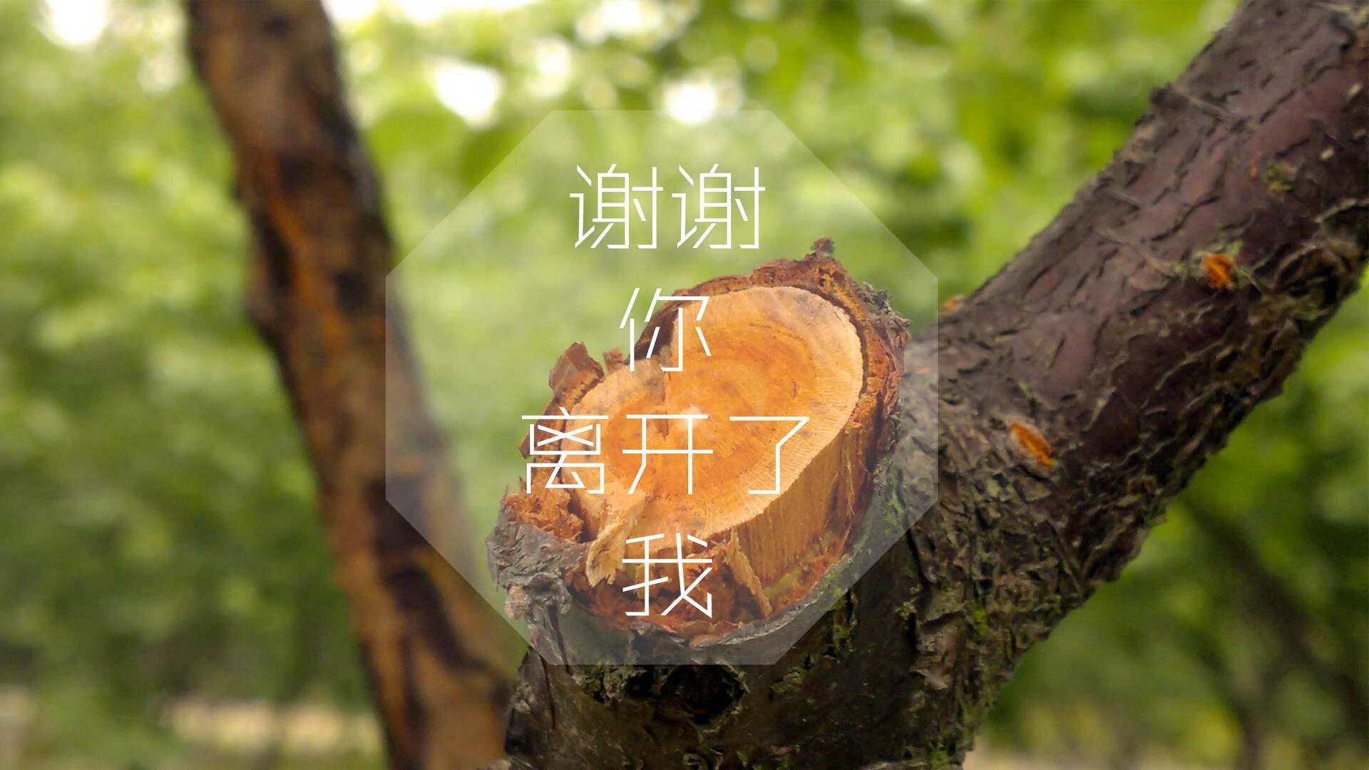 看见雷霆掀翻快船,才明白班凯罗才是下一代大场面先生