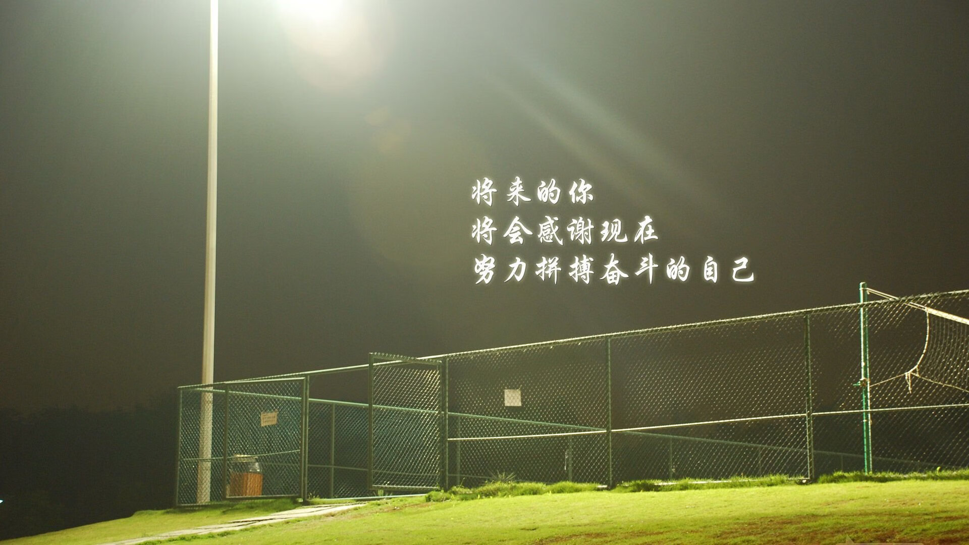 橙衣军的黄昏,当维尼修斯点亮加纳的星空,荷兰足球的宿命在2026年B组轮回